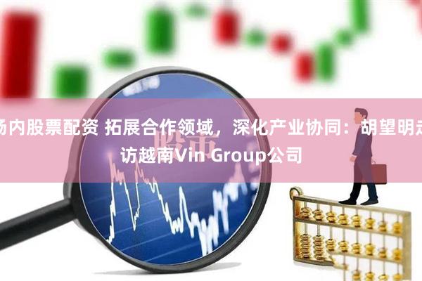 场内股票配资 拓展合作领域，深化产业协同：胡望明走访越南Vin Group公司