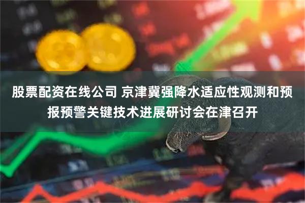股票配资在线公司 京津冀强降水适应性观测和预报预警关键技术进展研讨会在津召开