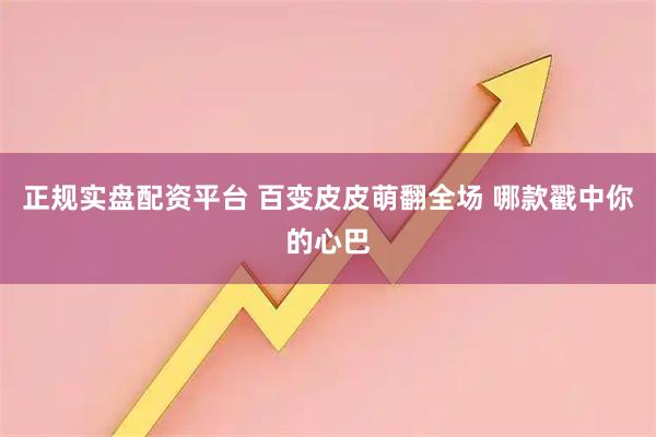 正规实盘配资平台 百变皮皮萌翻全场 哪款戳中你的心巴